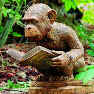 Enlightened Ape