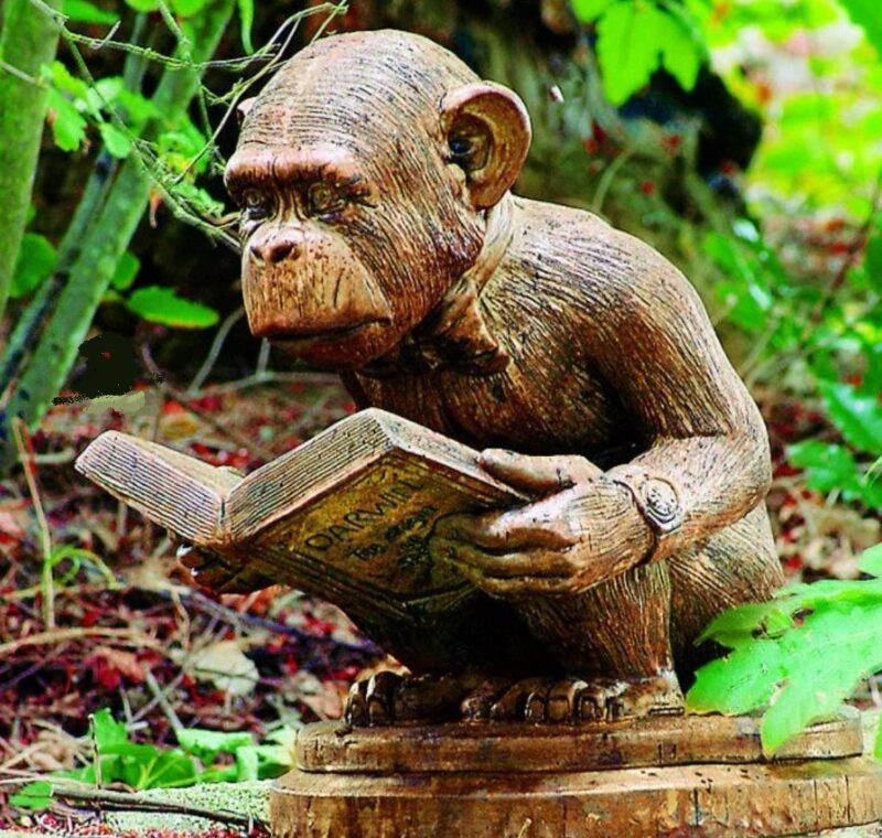 Enlightened Ape