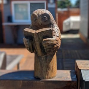 Enlightened Owl - 9"