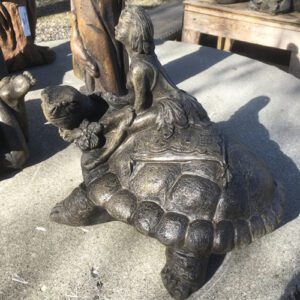 cw422 pixie on turtle