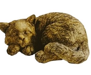 Cat Sleeping - XLg