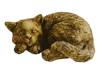 Cat Sleeping - XLg