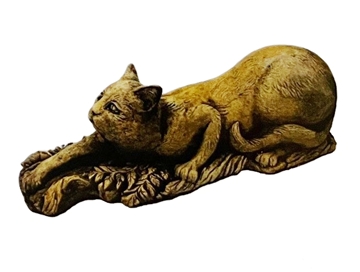 Cat Stretching