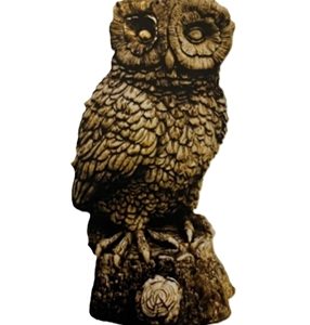 Night Owl