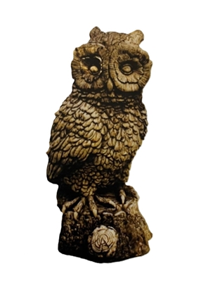 Night Owl